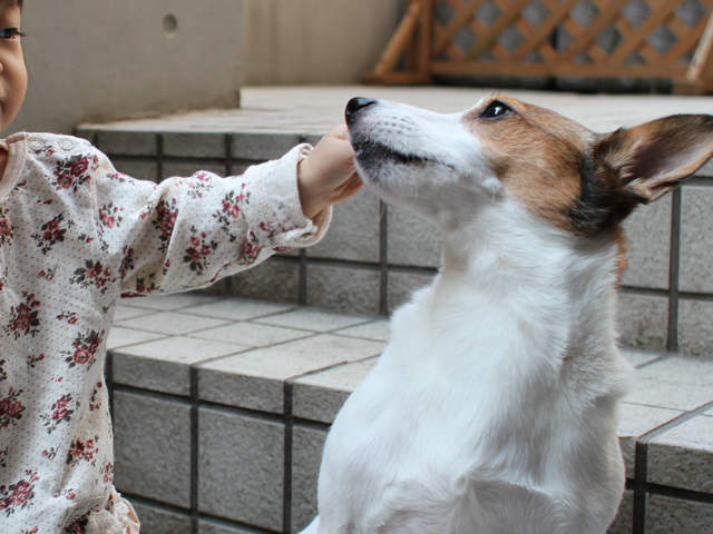 この口かぁ〜！！