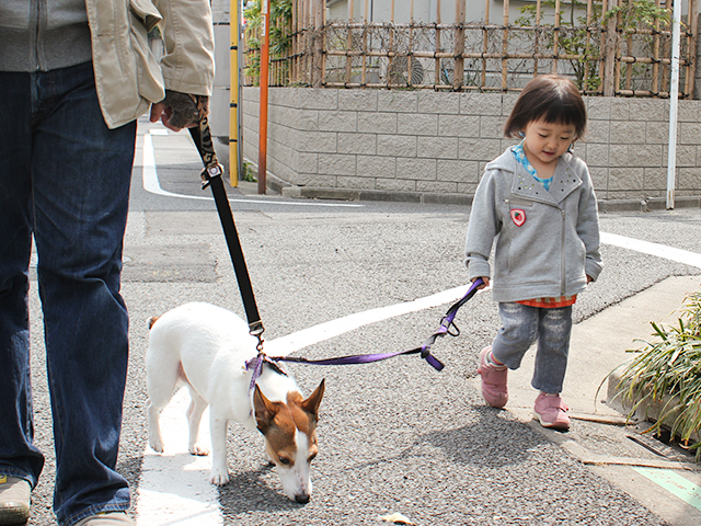 春のお散歩