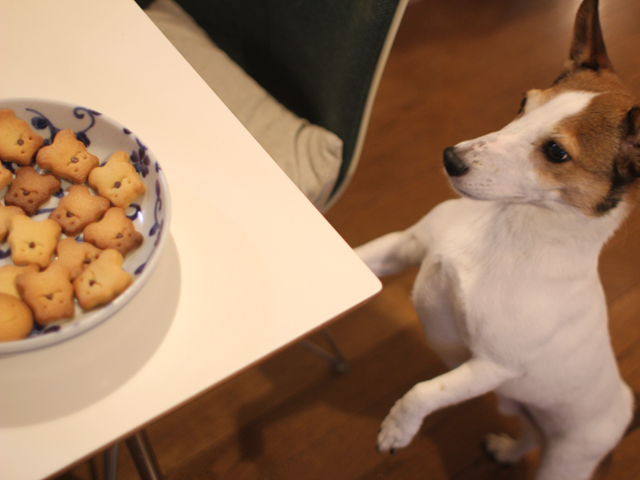 くまクッキー2