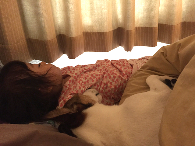 犬と寝る