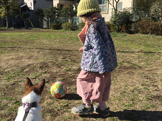 サッカー犬